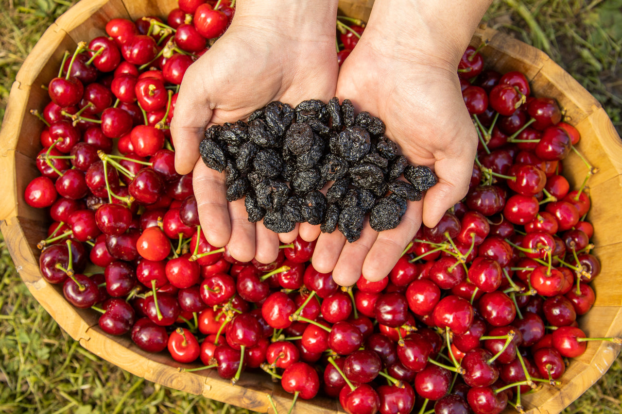 Are Dried Cherries Good for Gout?