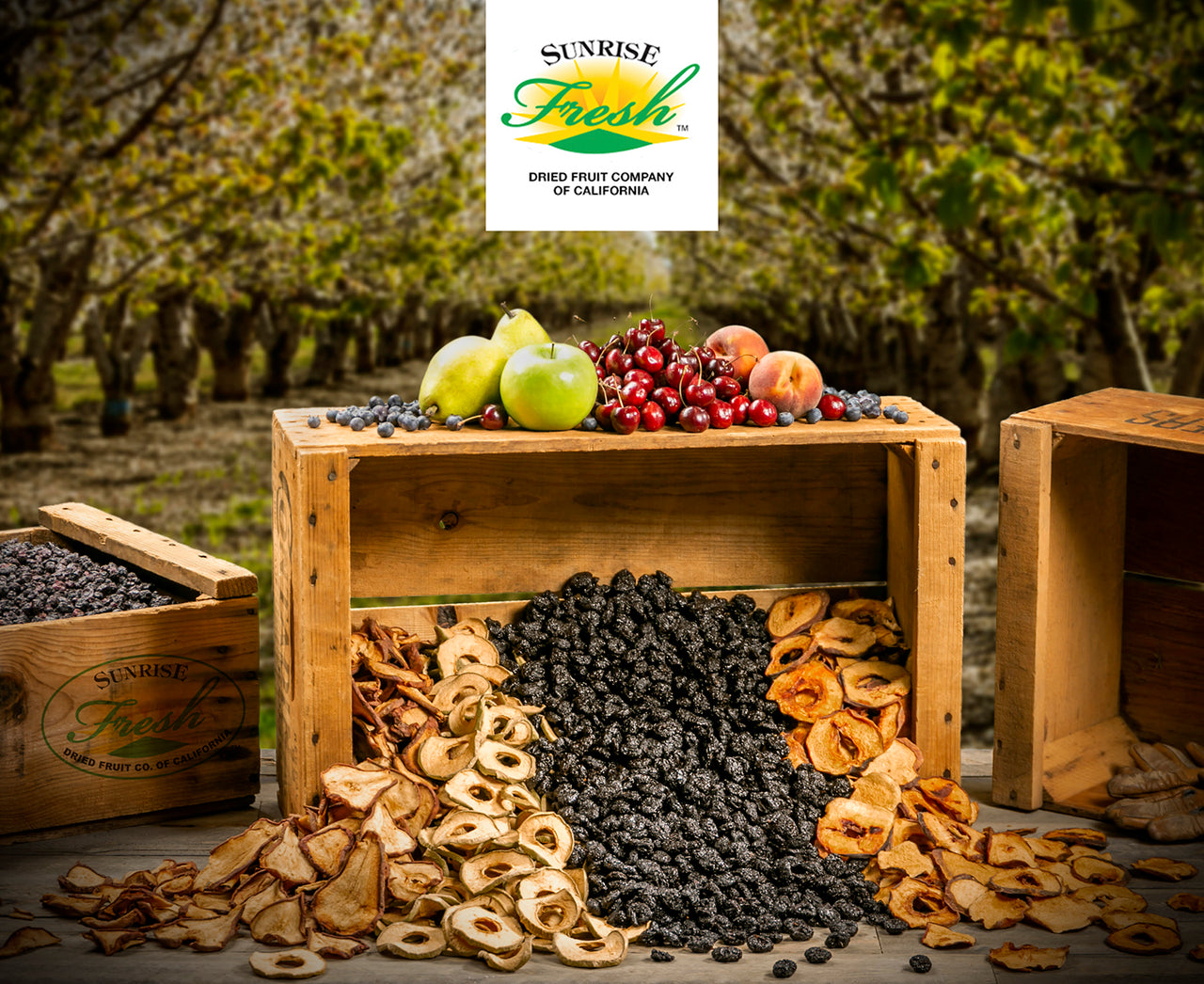 Dried Fruit Production: What is the Process of Drying Fruit?, Sunrise