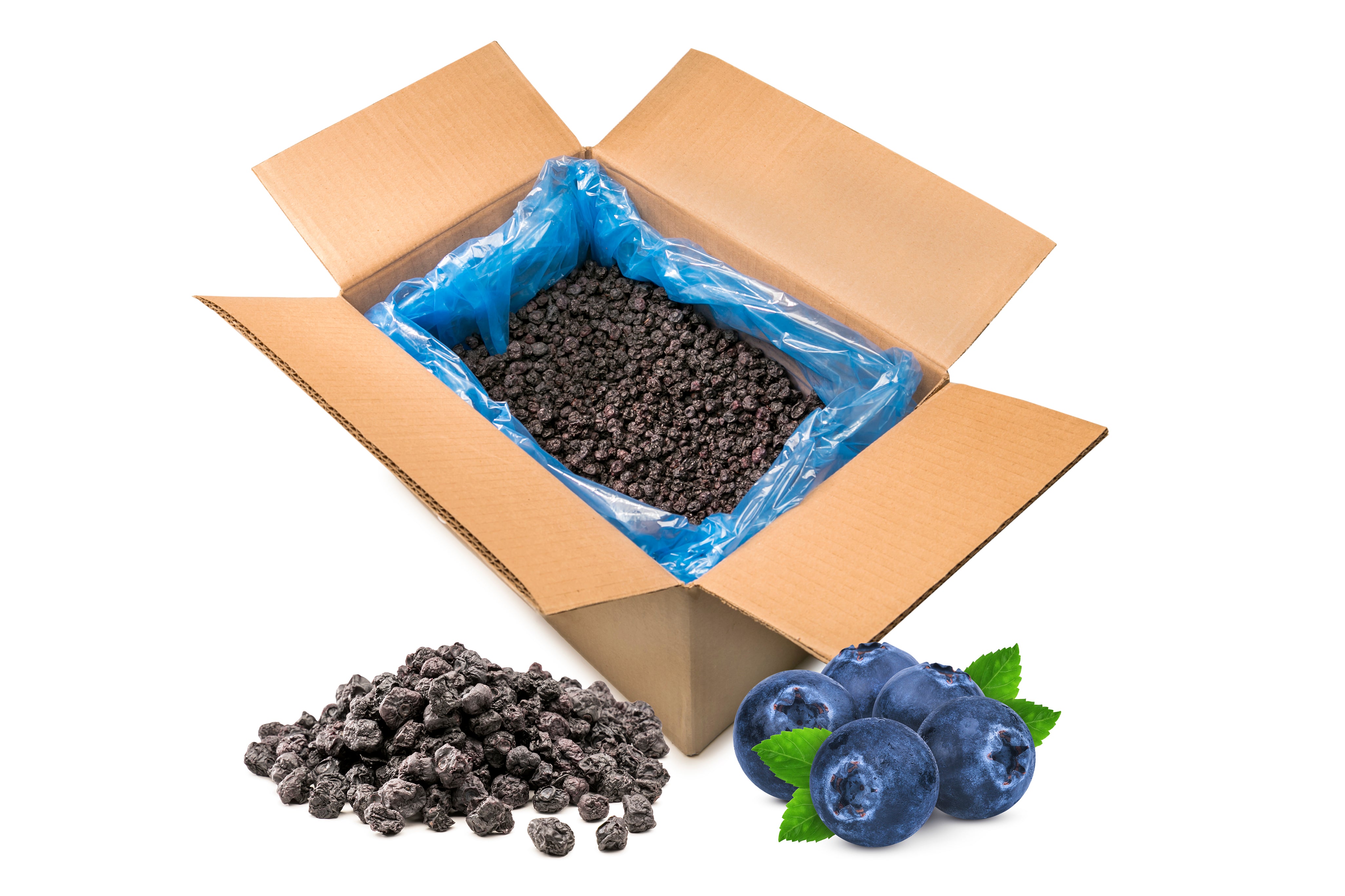 Dried Blueberries Wholesale, Bulk, and Consumer Sunrise Fresh