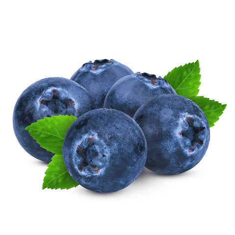 Fresh Blueberries from Sunrise Fresh